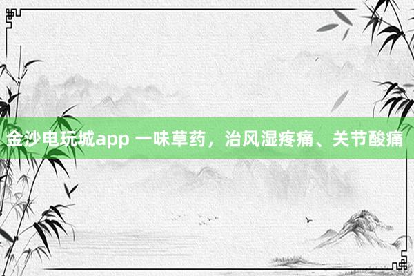 金沙電玩城app 一味草藥,治風濕疼痛、關節(jié)酸痛