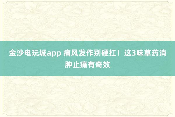 金沙電玩城app 痛風(fēng)發(fā)作別硬扛!這3味草藥消腫止痛有奇效