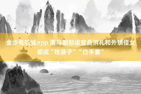金沙電玩城app 落馬副部級官員洪禮和外甥侄女都成“錢袋子”“白手套”