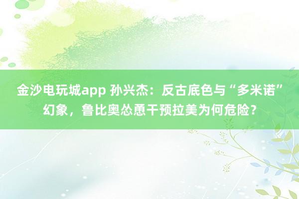 金沙電玩城app 孫興杰:反古底色與“多米諾”幻象,魯比奧慫恿干預拉美為何危險?