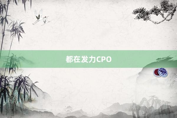 都在發(fā)力CPO