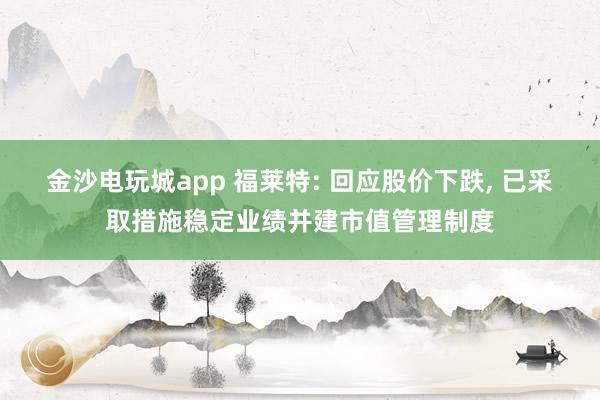 金沙電玩城app 福萊特: 回應股價下跌, 已采取措施穩(wěn)定業(yè)績并建市值管理制度