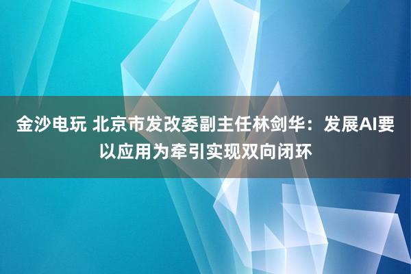 金沙電玩 北京市發改委副主任林劍華:發展AI要以應用為牽引實現雙向閉環