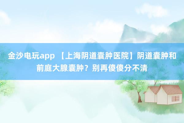 金沙電玩app 【上海陰道囊腫醫院】陰道囊腫和前庭大腺囊腫？別再傻傻分不清