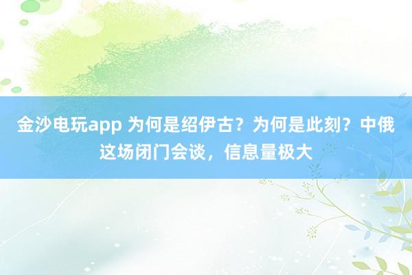 金沙電玩app 為何是紹伊古？為何是此刻？中俄這場閉門會談，信息量極大