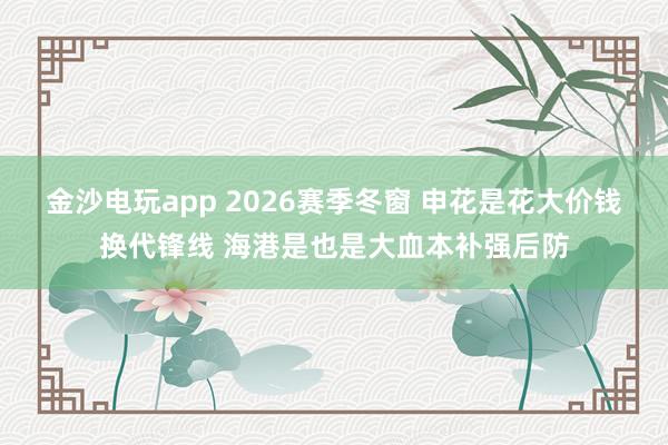 金沙電玩app 2026賽季冬窗 申花是花大價(jià)錢換代鋒線 海港是也是大血本補(bǔ)強(qiáng)后防