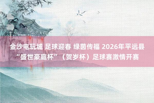 金沙電玩城 足球迎春 綠茵傳福 2026年平遠縣“盛世豪庭杯”（賀歲杯）足球賽激情開賽