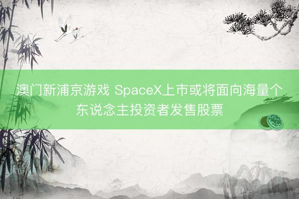 澳門新浦京游戲 SpaceX上市或將面向海量個東說念主投資者發售股票