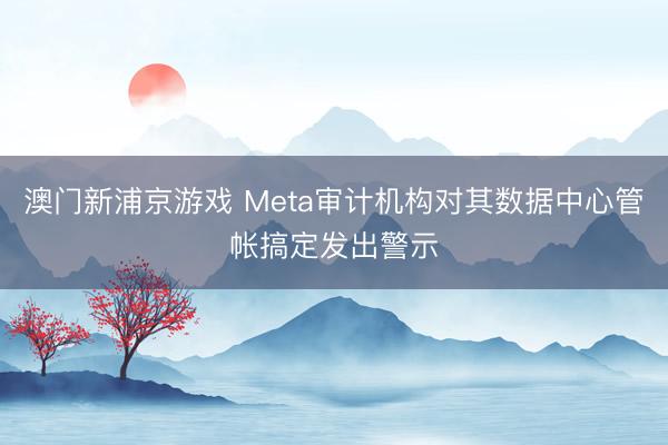 澳門新浦京游戲 Meta審計(jì)機(jī)構(gòu)對(duì)其數(shù)據(jù)中心管帳搞定發(fā)出警示