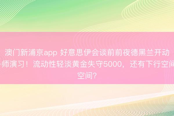 澳門新浦京app 好意思伊會談前前夜德黑蘭開動舟師演習！流動性輕淡黃金失守5000，還有下行空間？