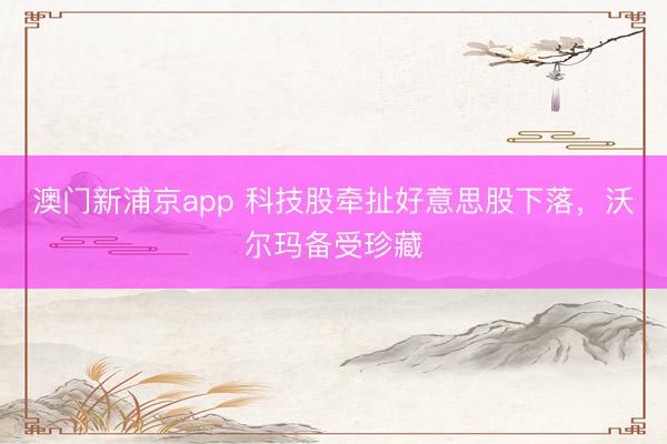 澳門新浦京app 科技股牽扯好意思股下落，沃爾瑪備受珍藏