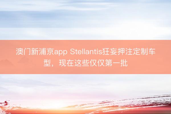 澳門新浦京app Stellantis狂妄押注定制車型，現在這些僅僅第一批