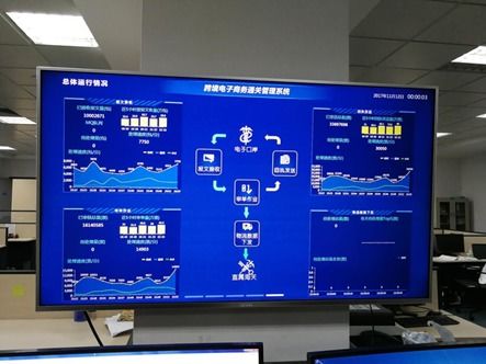 普元微服務(wù)架構(gòu) 雙十一期間穩(wěn)定支撐海關(guān)通關(guān)與電商運營的堅實基石